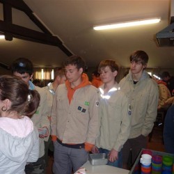Koala 017 - Scouts en Gidsen Zaventem 